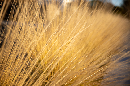 香蕉国产综合久久电影