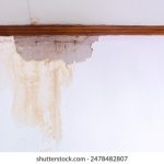 香蕉视频无限次观看 7aw2dw