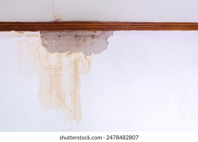 香蕉视频无限次观看