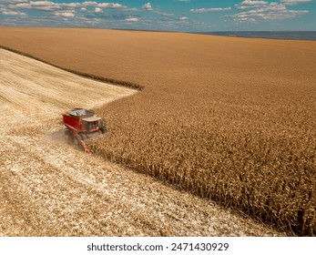 香蕉视频软件下载