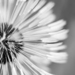 亚洲色啦啦网站 hs3ki6f