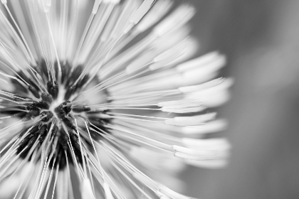 亚洲色啦啦网站