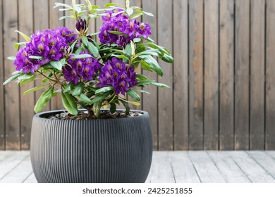 国内精品自在拍精选