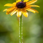 人人漫画:探索创意与分享的无限可能 0s7jtd