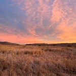 人人影视在线观看免费:畅享海量影视资源的最佳选择 11q4fok5hg