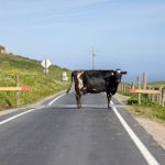 Sifangktv.net评测:全面解析其服务与用户体验 iyo01nic